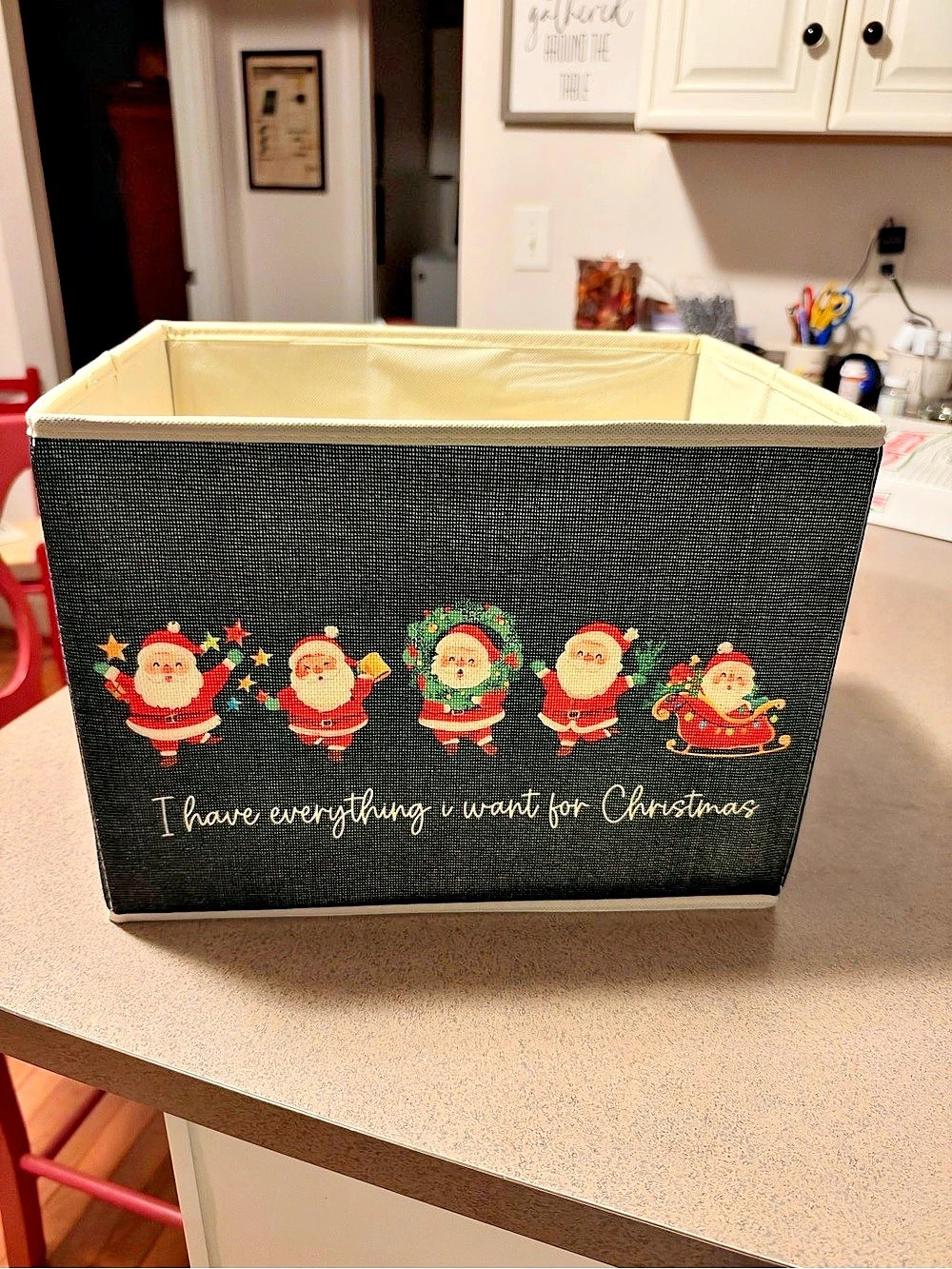 Christmas Santa Storage Bin Black & White
